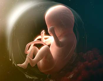Многоводье и маловодье при беременности
